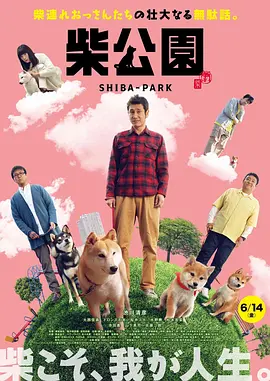久久精品中文